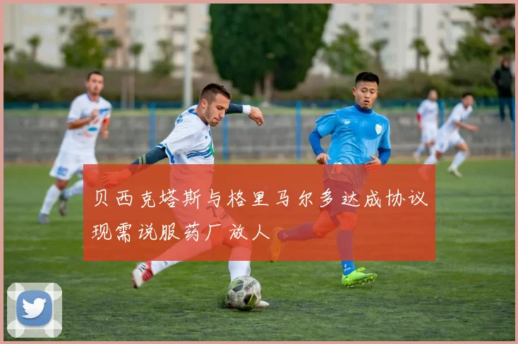 贝西克塔斯与格里马尔多达成协议现需说服药厂放人