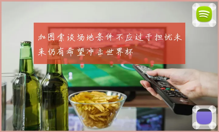 加图索谈场地条件不应过于担忧未来仍有希望冲击世界杯