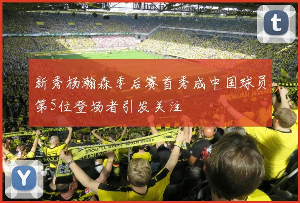 新秀杨瀚森季后赛首秀成中国球员第5位登场者引发关注