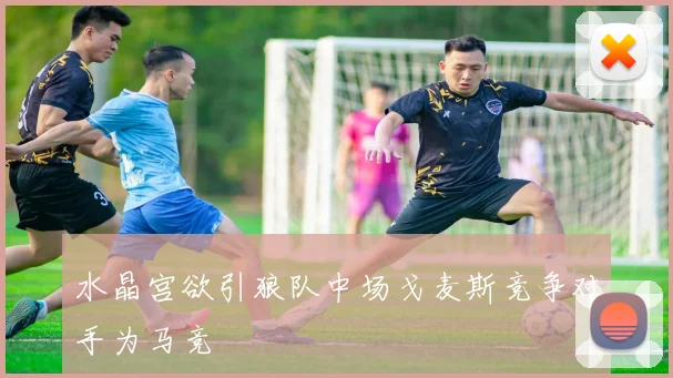 水晶宫欲引狼队中场戈麦斯竞争对手为马竞