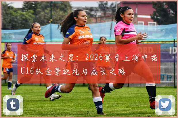 探索未来之星：2026赛季上海申花U16队全景巡礼与成长之路