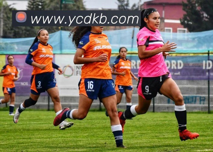 华体会体育，华体会（中国）平台生态图