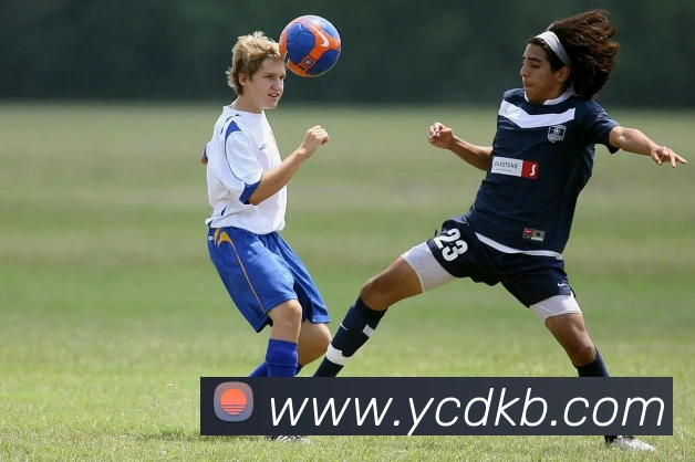 华体会体育，华体会（中国）全站App